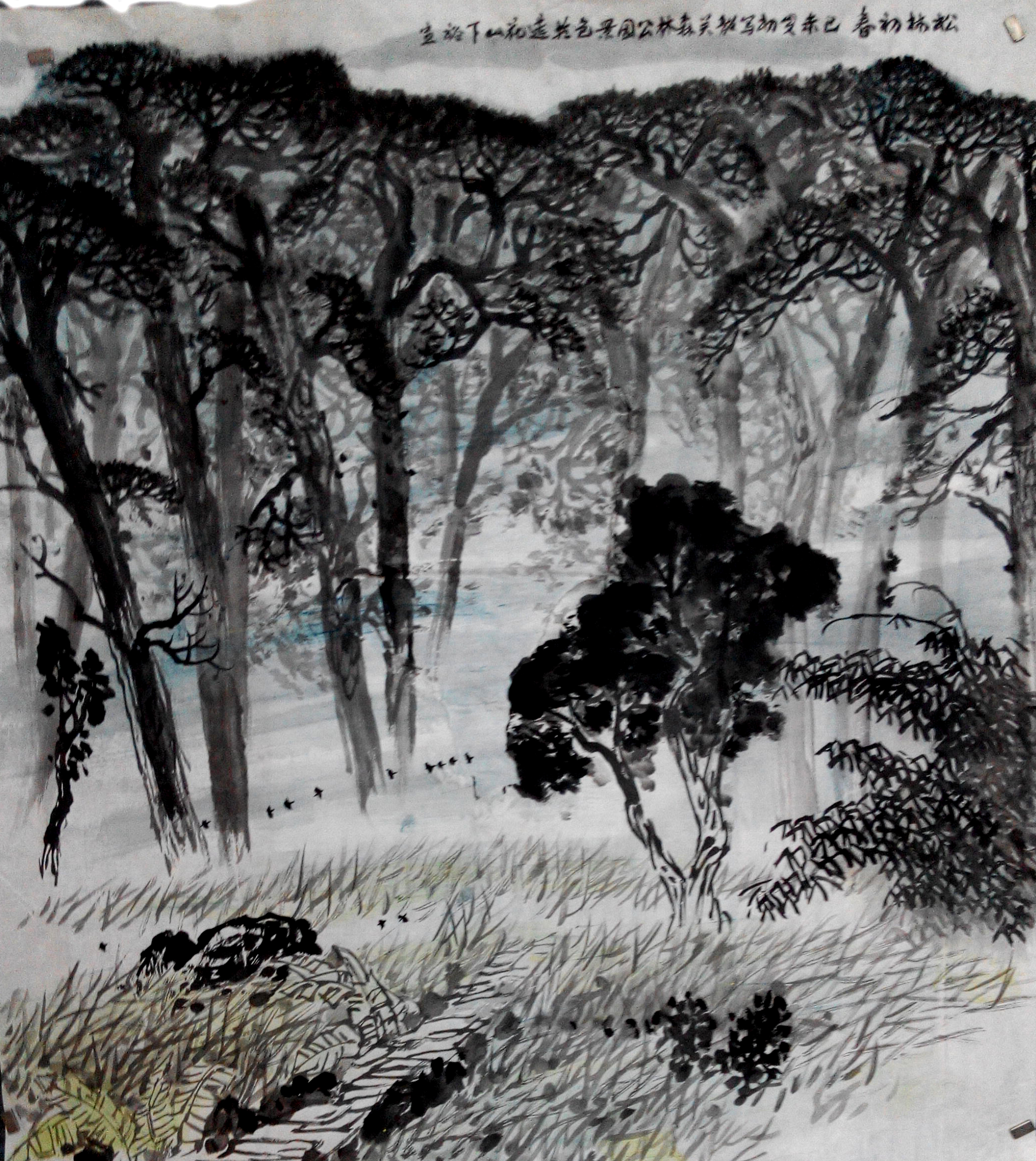 森林公园68x68cm2009年 我的相册中国山水画之一 相册 谢裕宣